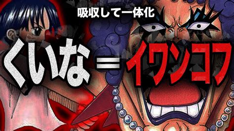 くいな イワンコフ|【ワンピース】くいなの死因は転落死？死亡した理由。